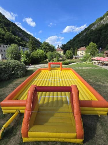 Vizi foci